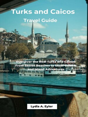 cover image of Turks and Caicos Travel Guide